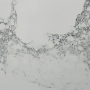 Enduro Quartz Statuario Silver