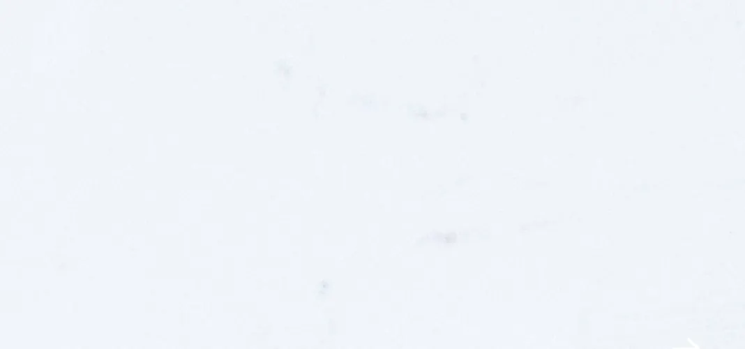 Pinnacle Stone Quartz Carrara Cloud 1 Pinnacle Stone Quartz Carrara Cloud